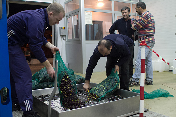 Večer u uljari, Foto: Leo Banić