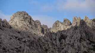 OLYMPUS DIGITAL CAMERA OLYMPUS DIGITAL CAMERA