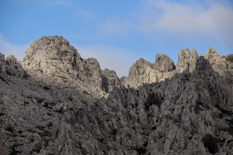 OLYMPUS DIGITAL CAMERA OLYMPUS DIGITAL CAMERA