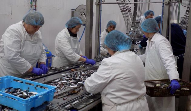 Otvoren pogon tvrtke Mardešić