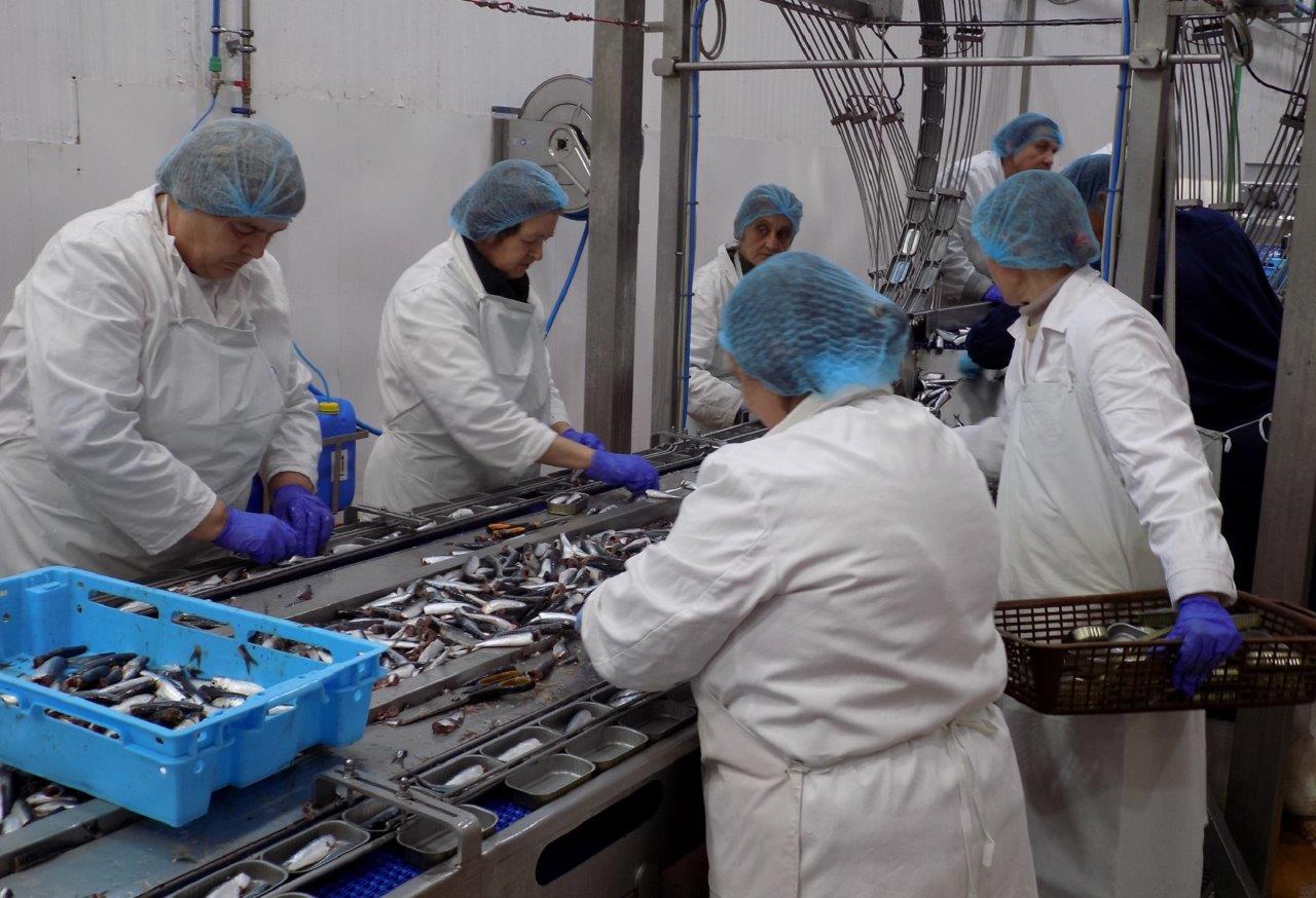 Otvoren pogon tvrtke Mardešić