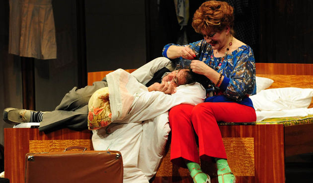 Zadar, 18.02.2013. snimio: Nenad Marčev 
premijera HNK Zadar 
Nikolaj Koljada: KOKOŠ, komedija 
redatelj: Dražen Ferenčina 
Igraju: Jasna Ančić, Tamara Šoletić, Žana Bumber, 
Ivica Jončić, Mirko Šatalić, 
Vinko Radovčič, Mimi Zadarski, Anto