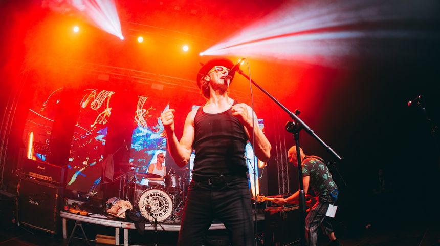 psihomodo pop psihomodo pop