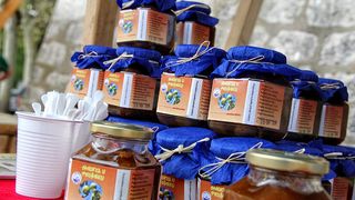 Sajam smokava na Poljani Šime budinića/Festival smokava/smokve, foto: I. Perinčić