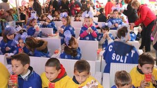 Virski Karnevalić 2017.