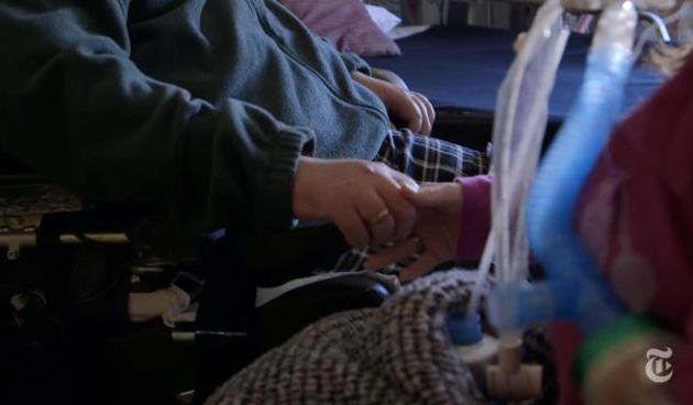 Screenshot: NY Times