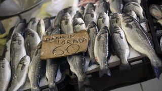 Đir po pešakariji 24. veljače 2012, Foto. Saša Čuka Đir po pešakariji 24. veljače 2012, Foto. Saša Čuka