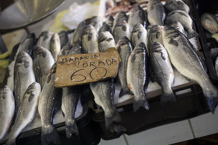 Đir po pešakariji 24. veljače 2012, Foto. Saša Čuka Đir po pešakariji 24. veljače 2012, Foto. Saša Čuka