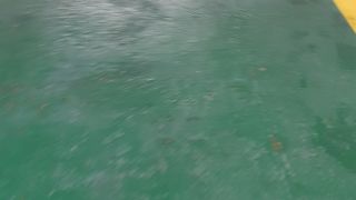 Kako izgleda putovanje na liniji Zadar(Gaženica)-Preko? Kako izgleda putovanje na liniji Zadar(Gaženica)-Preko?