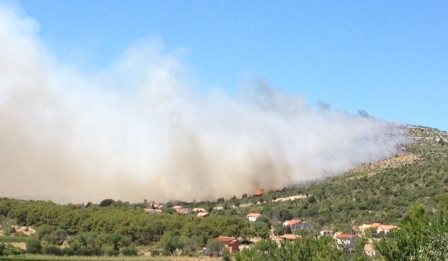 Stankovci: Planula borovina, vatrogasci od požara obranili kuće