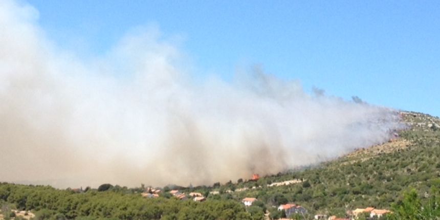 Stankovci: Planula borovina, vatrogasci od požara obranili kuće