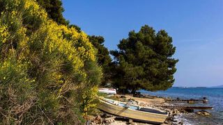 Nedjeljnja šetnja od Dikla do Pinije, Foto: Mladen Radolović Mrlja Nedjeljnja šetnja od Dikla do Pinije, Foto: Mladen Radolović Mrlja