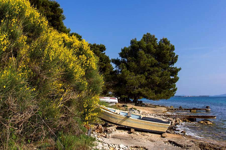 Nedjeljnja šetnja od Dikla do Pinije, Foto: Mladen Radolović Mrlja Nedjeljnja šetnja od Dikla do Pinije, Foto: Mladen Radolović Mrlja