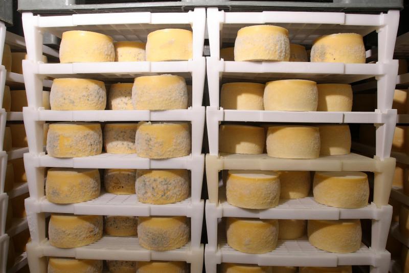 Paški sir sirane Gligora osvojio titulu najboljeg sira na svijetu, Photo: Dino Stanin/PIXSELL Paški sir sirane Gligora osvojio titulu najboljeg sira na svijetu, Photo: Dino Stanin/PIXSELL