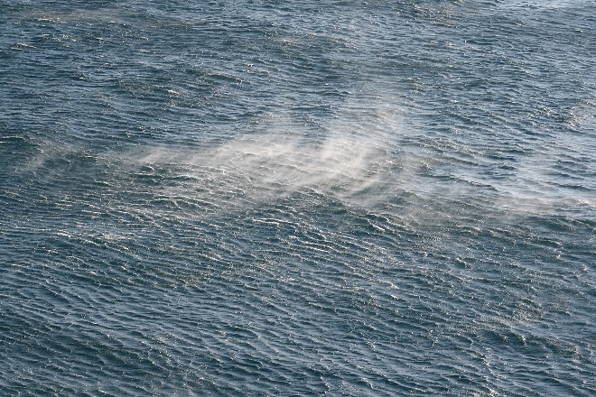 Image 1177847 (auto)
