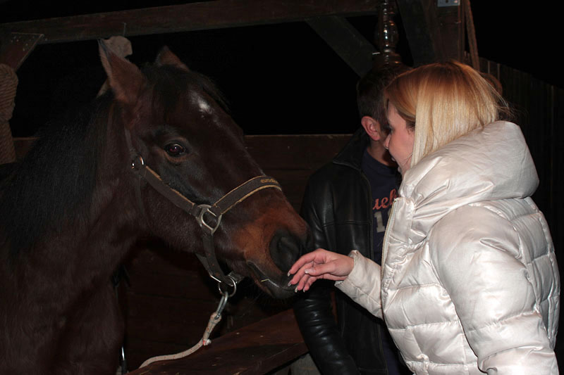 The Jack’s Christmas party @ Hitch bar, Foto: Lucija Juravić