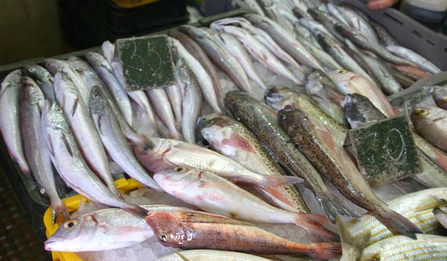 Image 1173487 (auto)