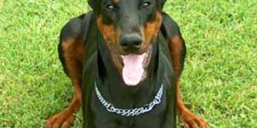 Image 1201461 (auto) Image 1201461 (auto)