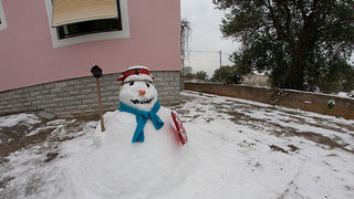 Snijeg u Bibinjama 3. veljače 2012, Foto: Leo Banić