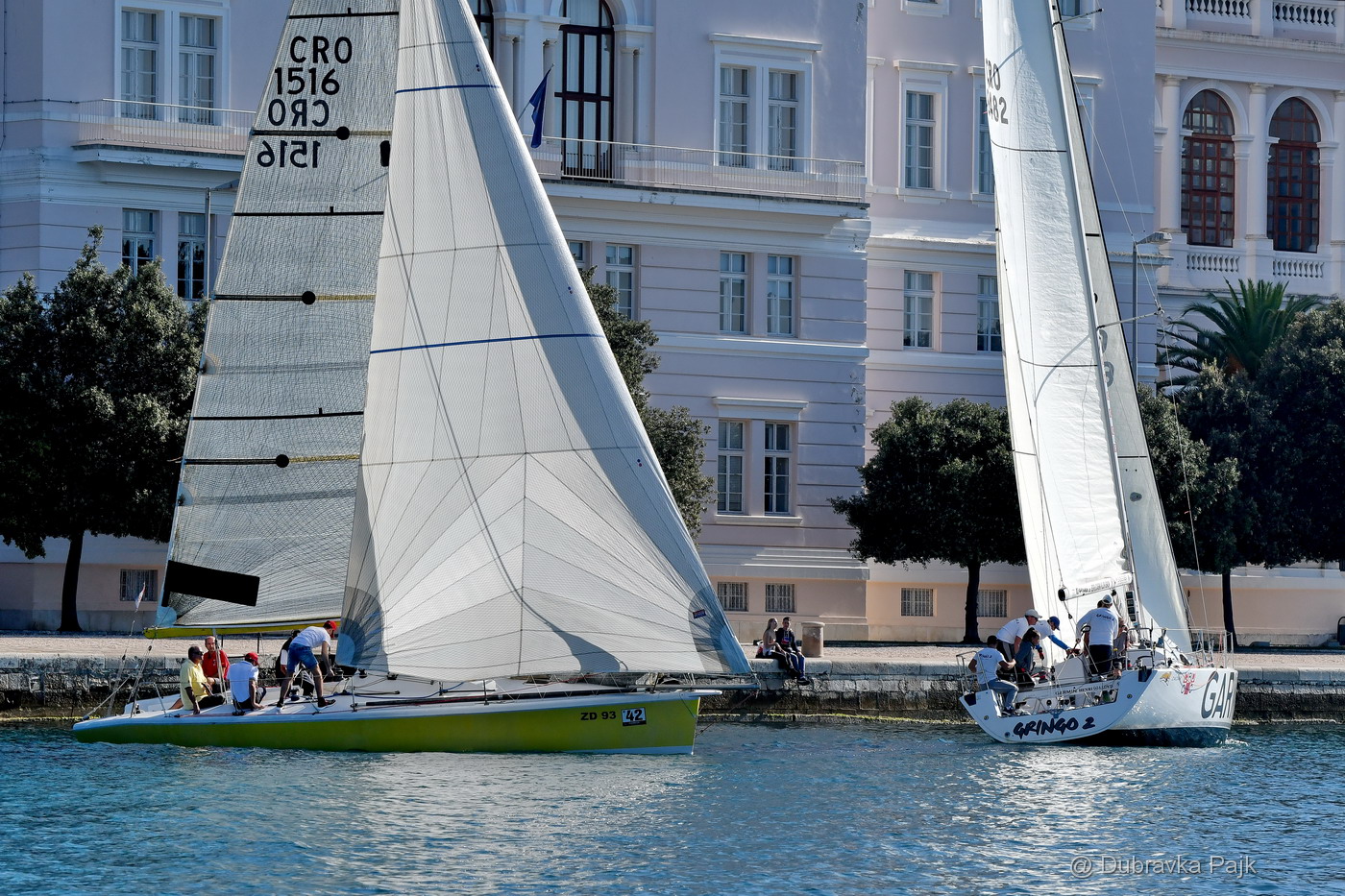 Sva lica “Zadarske koke” Sva lica “Zadarske koke”