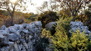 Rab, 131111.
Topao i suncan dan na Rabu idealan je za setnju po barbatskom kantu (pasnjacima) i za otkrivanje ljepota barbatskih kamenih suhozida. Suhozid je gradjevina od prirodnog kamena kojeg su tezaci gradili slagajuci kamen na kamen bez koristenja ve Rab, 131111.
Topao i suncan dan na Rabu idealan je za setnju po barbatskom kantu (pasnjacima) i za otkrivanje ljepota barbatskih kamenih suhozida. Suhozid je gradjevina od prirodnog kamena kojeg su tezaci gradili slagajuci kamen na kamen bez koristenja ve