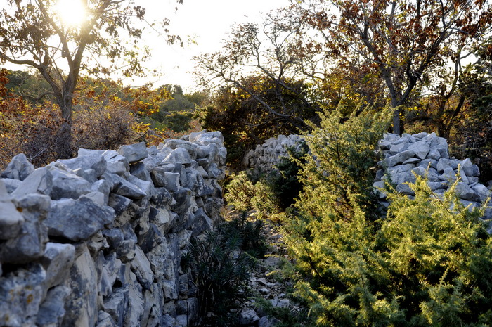 Rab, 131111.
Topao i suncan dan na Rabu idealan je za setnju po barbatskom kantu (pasnjacima) i za otkrivanje ljepota barbatskih kamenih suhozida. Suhozid je gradjevina od prirodnog kamena kojeg su tezaci gradili slagajuci kamen na kamen bez koristenja ve Rab, 131111.
Topao i suncan dan na Rabu idealan je za setnju po barbatskom kantu (pasnjacima) i za otkrivanje ljepota barbatskih kamenih suhozida. Suhozid je gradjevina od prirodnog kamena kojeg su tezaci gradili slagajuci kamen na kamen bez koristenja ve