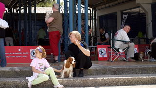 Zadar: Medjunarodna izlozba pasa CACIB 1. svibnja 2010.