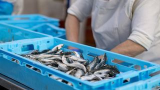 Predsjednik Milanović posjetio je tvrtku Mardešić u Salima