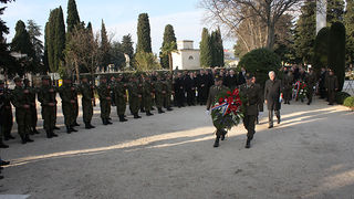 Image 1040141 (auto)