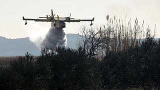 Požar u ornitološkom rezervatu Parka prirodeP Vransko jezero Požar u ornitološkom rezervatu Parka prirodeP Vransko jezero
