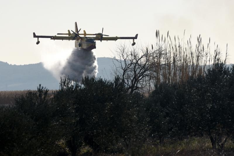 Požar u ornitološkom rezervatu Parka prirodeP Vransko jezero Požar u ornitološkom rezervatu Parka prirodeP Vransko jezero