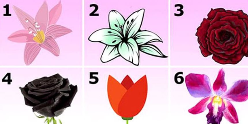 Odaberite najprivlačniji cvijet – Saznat ćete tajnu svog karaktera