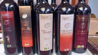 Wine EnoGASTRO Vip Event na terasi hotela Kolovare