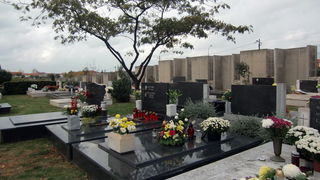 Usprkos jakom jugu gradsko groblje u Zadru danas je zasjalo toplim bojama cvijeca i svijeca kojima su gradjani ukrasili posljednja pocivalista svojih najdrazih, Foto: Mladen Malik Usprkos jakom jugu gradsko groblje u Zadru danas je zasjalo toplim bojama cvijeca i svijeca kojima su gradjani ukrasili posljednja pocivalista svojih najdrazih, Foto: Mladen Malik