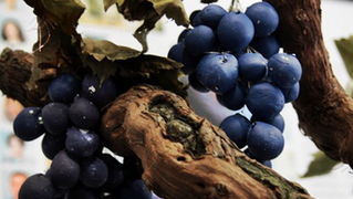 GKZD izlozba povodom Svjetskog Dana mentalnog zdravlja