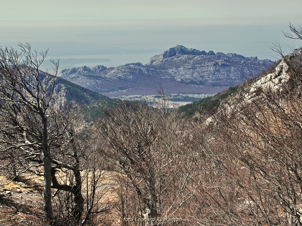 Veliko Rujno – Buljma – Struge