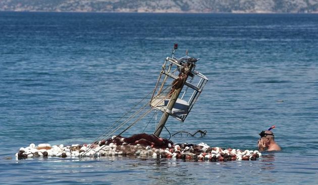 Ražančani saniraju štete nakon orkanske bure. Photo: Dino Stanin/PIXSELL