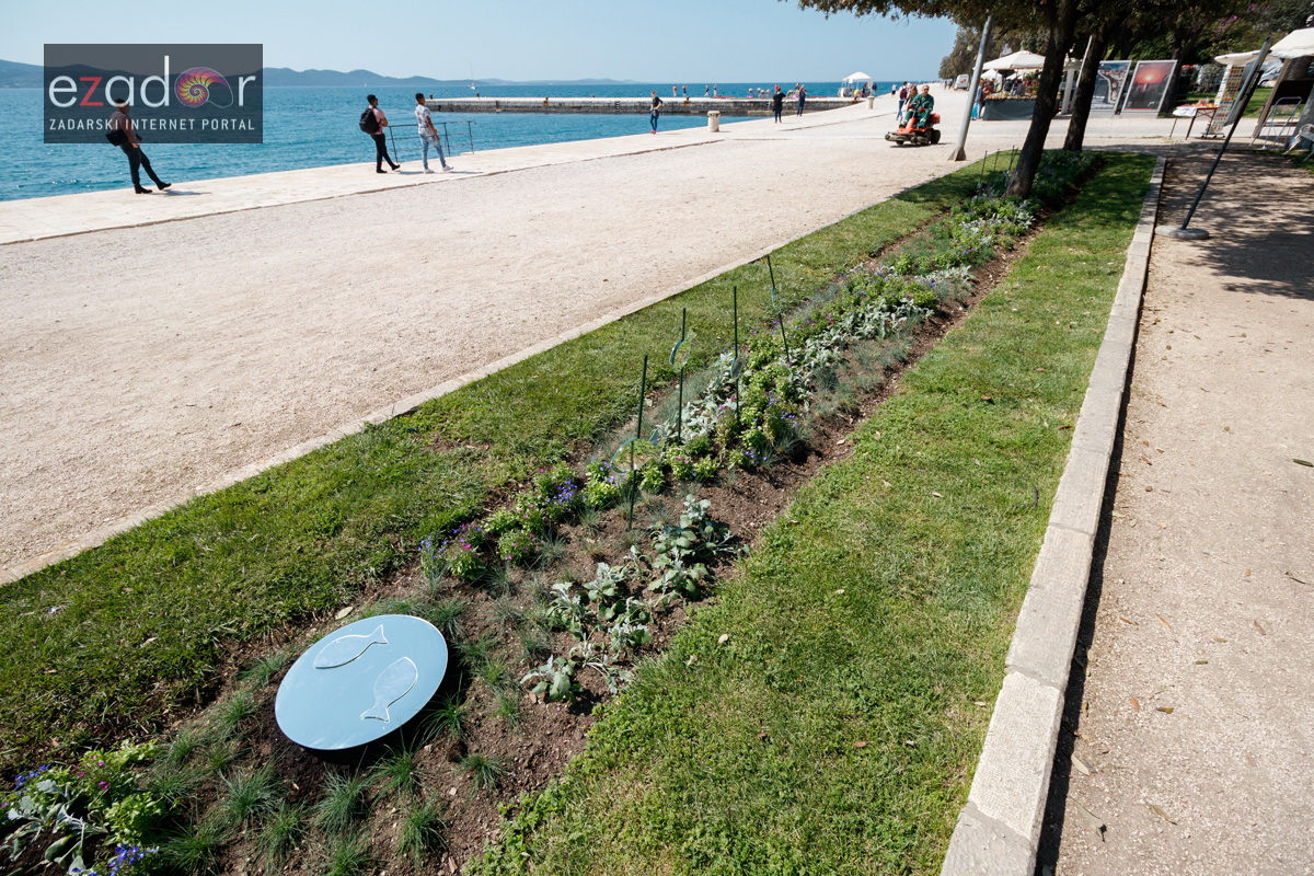 Đir po gradu, četvrtak 19. travnja 2018. Đir po gradu, četvrtak 19. travnja 2018.