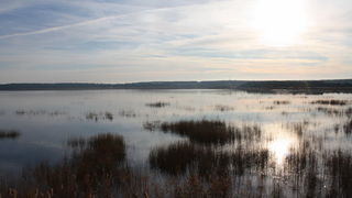 Đir uz Vransko jezero, Foto: Iva Perinić Đir uz Vransko jezero, Foto: Iva Perinić