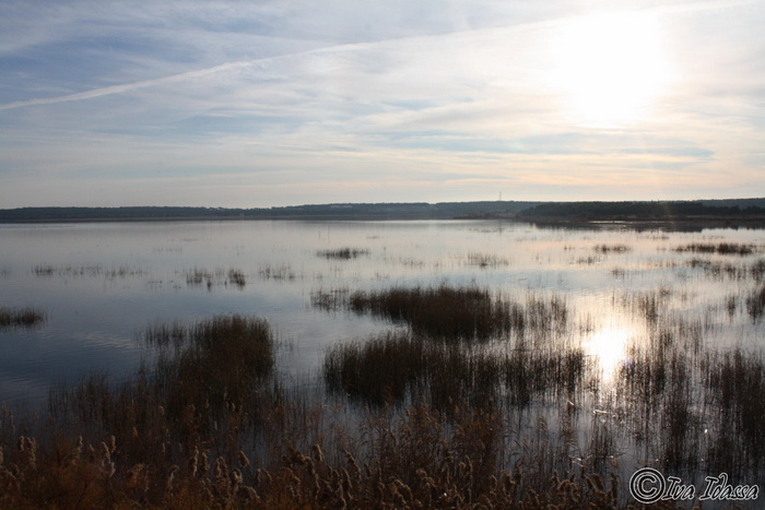 Đir uz Vransko jezero, Foto: Iva Perinić Đir uz Vransko jezero, Foto: Iva Perinić
