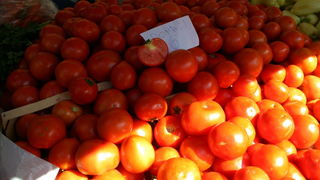 Image 1207667 (auto)