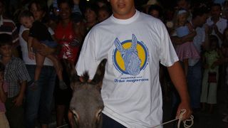 Trka magaraca Posedarje 2008., 9. kolovoza 2008.