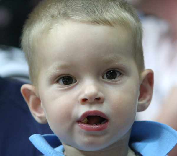 Zadar-Cibona 69-71, Cibona prvak Hrvatske, Foto: Mladen Malik / eZadar