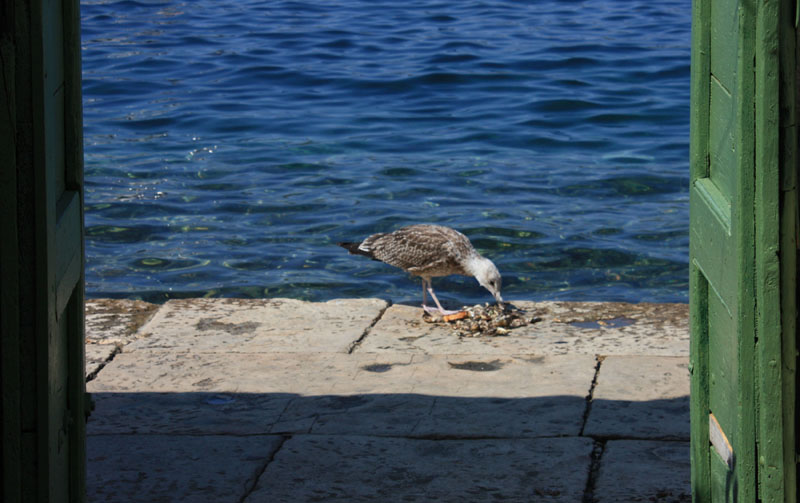 Image 1117655 (auto)