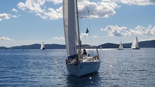 Zadarska Koka 2016. 22. listopada 2016. Foto: Mladen Malik Zadarska Koka 2016. 22. listopada 2016. Foto: Mladen Malik