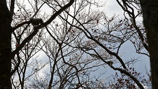 Đir do vrha Zečjak na sjevernom Velebitu, Foto: Leo Banić