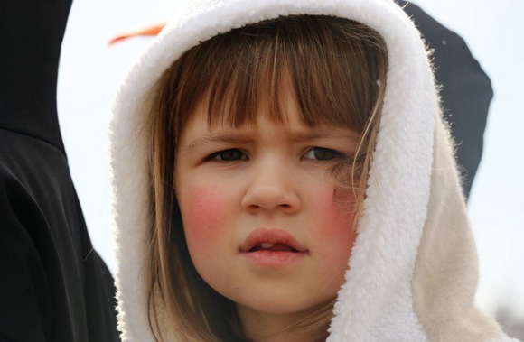 Virski karnevalić 2016. Virski karnevalić 2016.