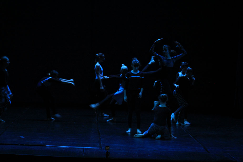 Večer Za Nives, plesni ansambli, foto: Iva Perinčić