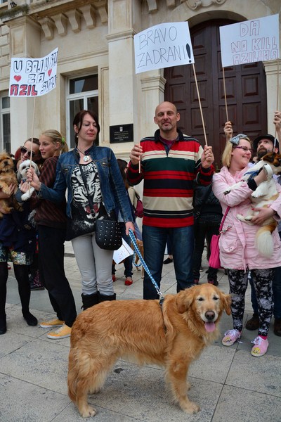 Skup podrške za NO KILL skloništa za životinje,  foto Iva Perinčić