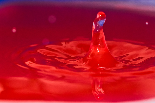 Čudesne kapi, foto: Leo Banić